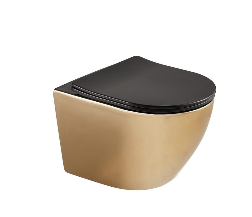 VESI wall-hung toilet
